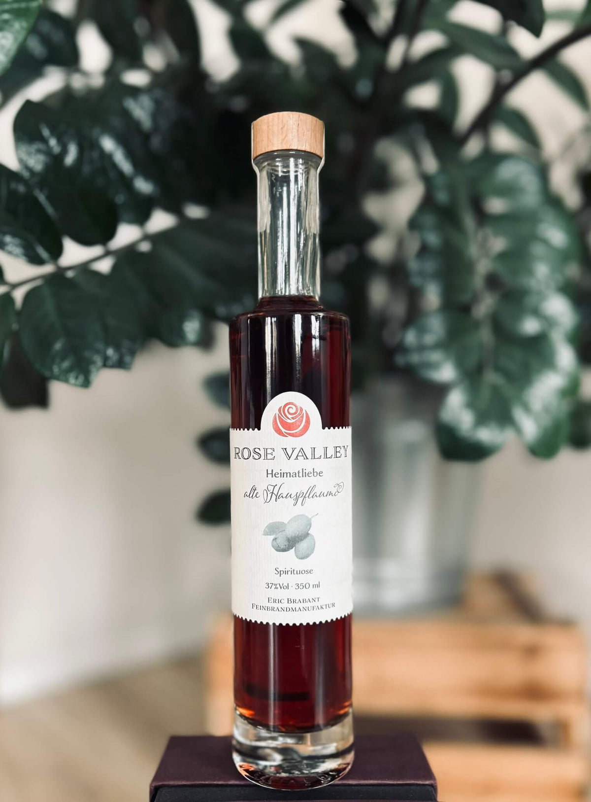 Rose Valley - Love of Home "Old House Plum"
