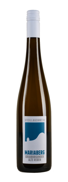 Grauburgunder 2017, QbA